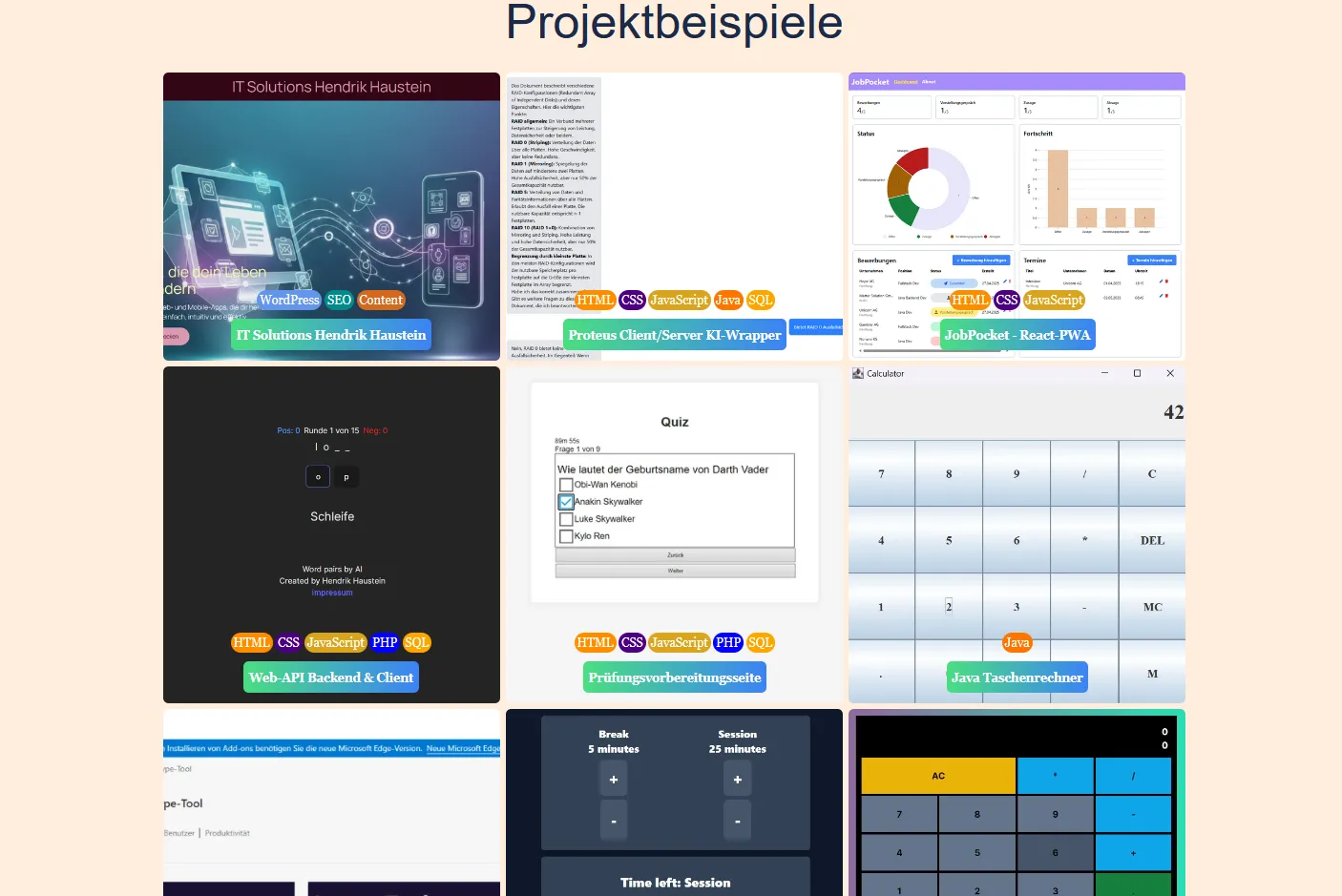 haustein.in vorheriges Design Projekte.